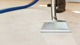 Carpet cleaning wand head gliding over a light carpet during hot-water extraction, Memphis, TN.